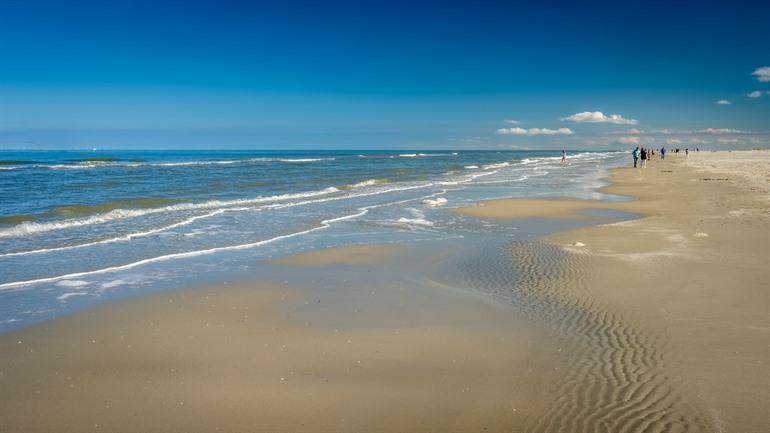 Het Rif Schiermonnikoog