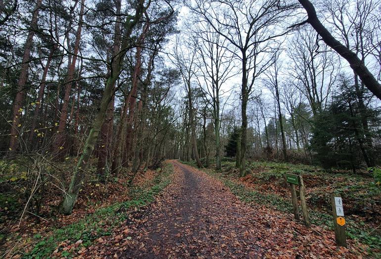 Het Stropersbos, Niemandsland wandelroute