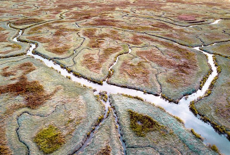 Het Verdronken Land van Saeftinghe bezoeken