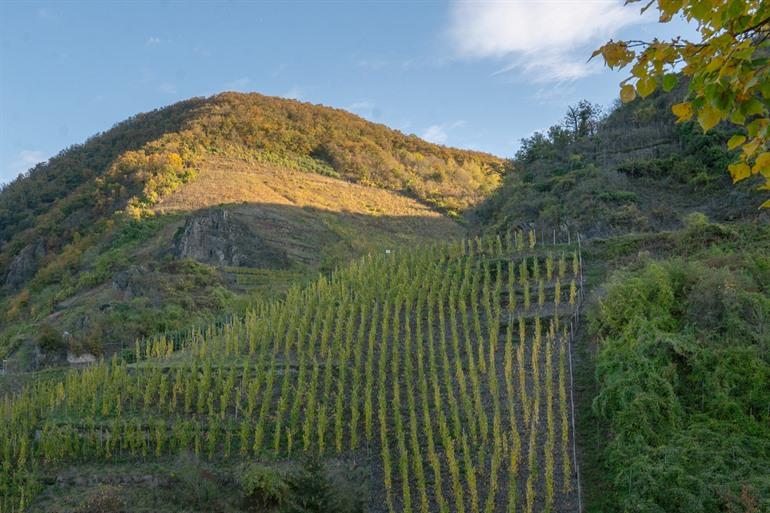 Heuvelachtige omgeving rond Beilstein