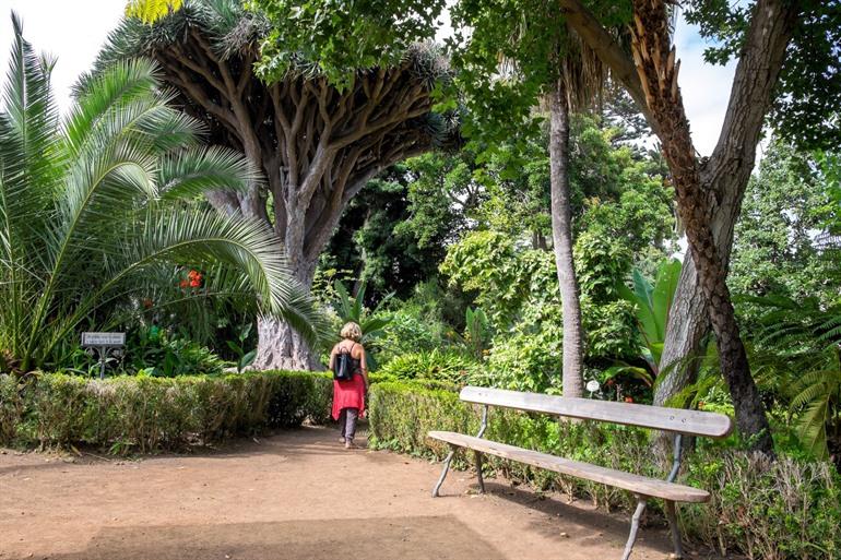 Hijuela del Botánico in La Orotava