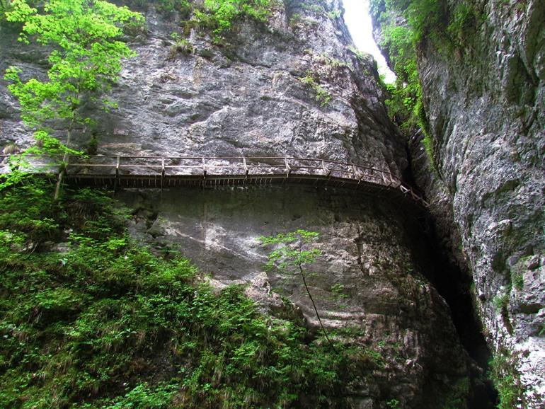 Hike naar en door de Pokljuka kloof, Slovenië