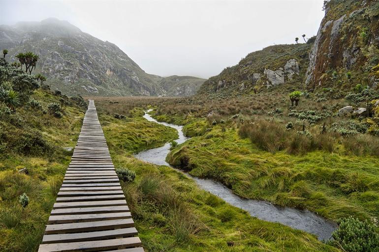 Hiken door het Rwenzori Mountains National Park