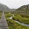 Hiken door het Rwenzori Mountains National Park