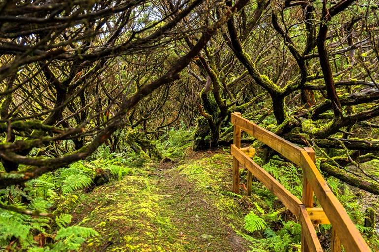 Hiken in het Serrata nature reserve, Terceira