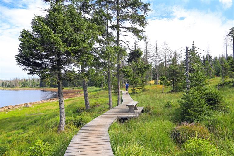 Hiken rond de Oderteich dam in de Harz