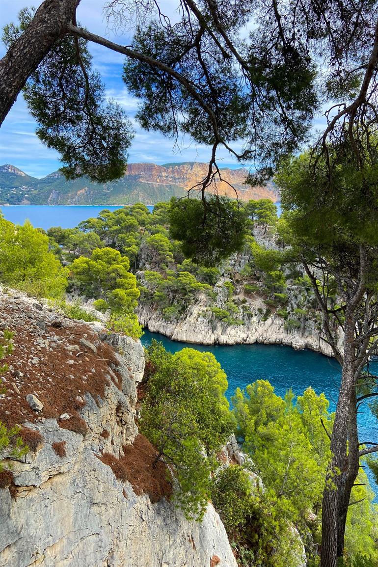 Hiken tussen de Calanques vanuit Cassis