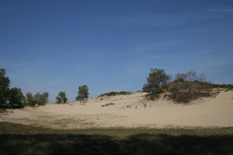 Hoge Blekker duinwandeling