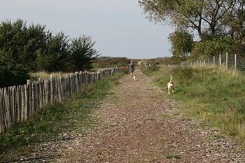 Hoge Blekker duinwandeling