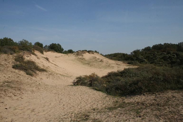 Hoge Blekker duinwandeling