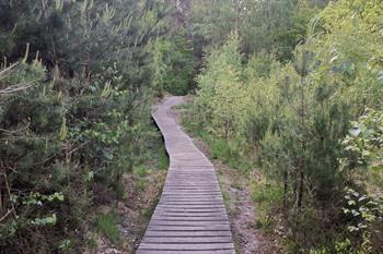 Hoge Kempen - Mechelse Heide