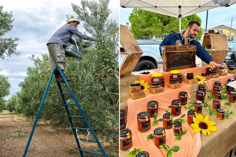 Honing en olijven proeven op Chalkidiki