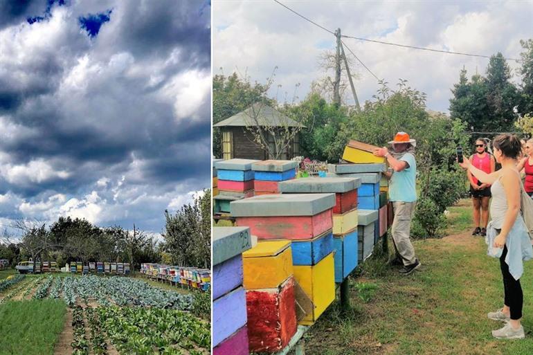 Honingproeverij op Sant’Erasmo, Venetië