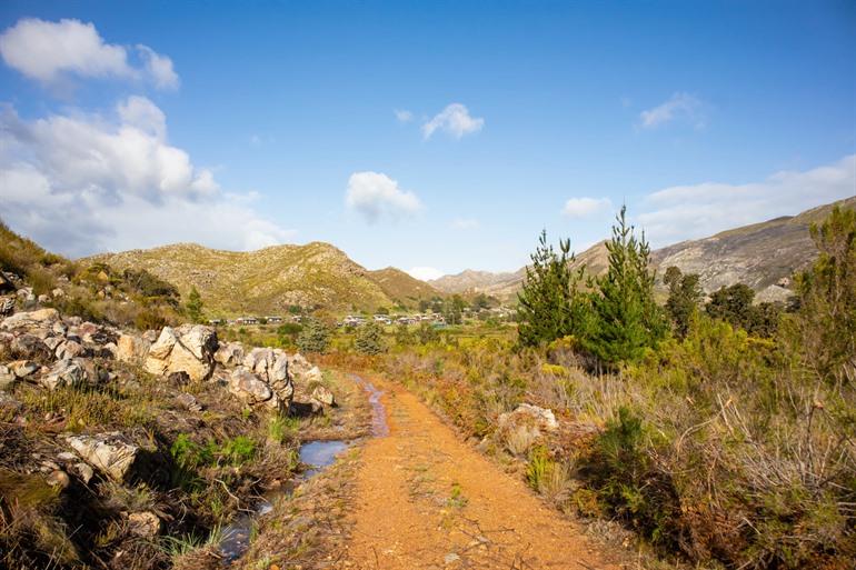 Hottentots Holland Nature Reserve