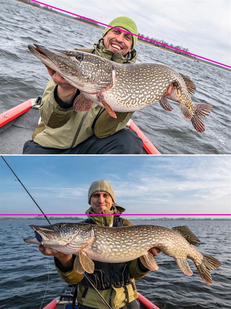 Hou de horizon recht