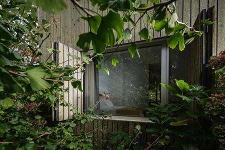 Houten bungalow van Sete Cidades Lake Lodge boeken