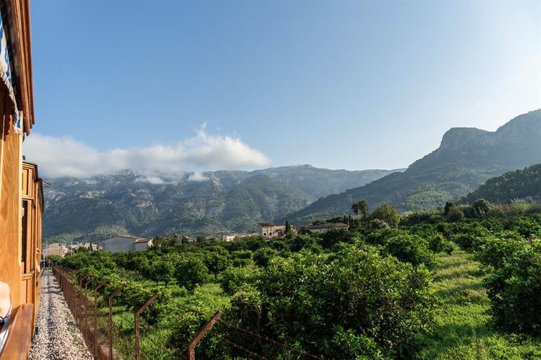 Houten tram tussen Sóller en Port de Sóller