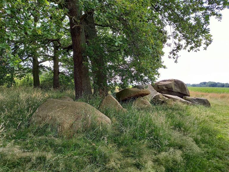 Hunebedden in Drenthe bewonderen
