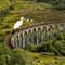 Jacobite stoomtrein over het Glenfinnan viaduct in Schotland
