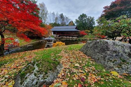 Japanse Tuin in Hasselt bezoeken