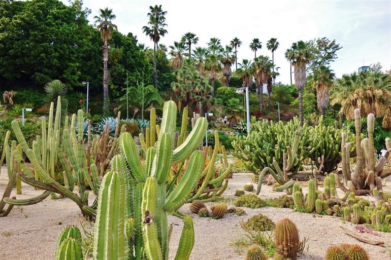 Jardins de Mossèn Costa i Llobera