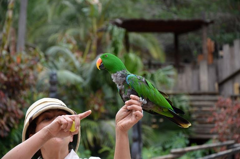 Jungle Park op Tenerife bezoeken