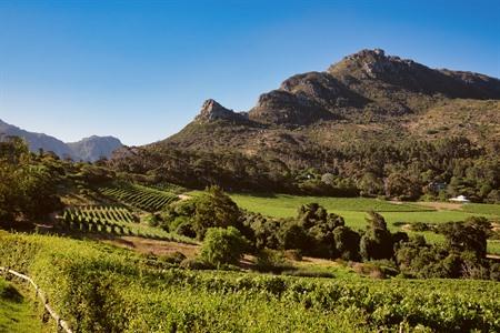 De Kaapse Wijnlanden: bergen, wijn en erfgoed in Zuid-Afrika