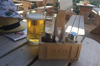 Kabelbaan naar Vogel, Bohinj