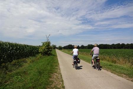 Kalmthoutse Heide