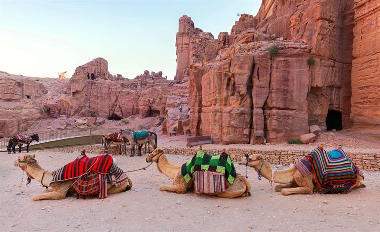 Kamelen bij de schatkamer Al-Khazneh in Petra, Jordanië