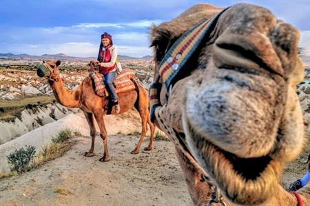 Kamelensafari boeken in Cappadocië