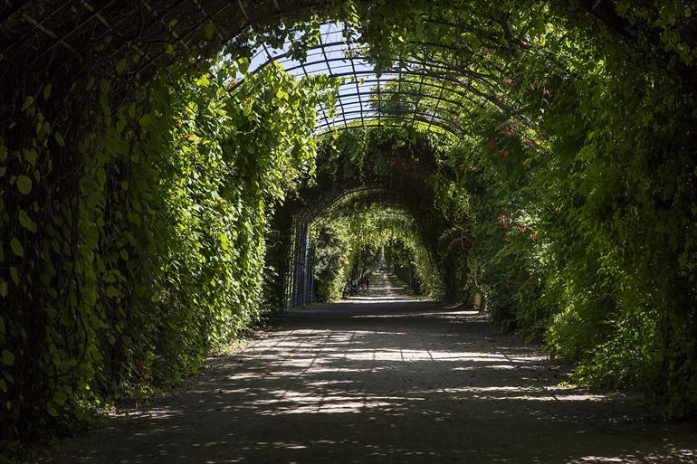 Kasteeltuin en het bos van Compiègne