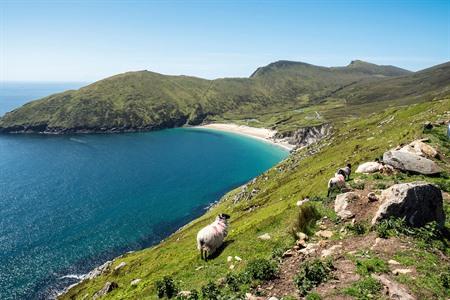 13 x mooiste bezienswaardigheden op Achill Island: wat zien & doen tijdens je bezoek? + verblijftips