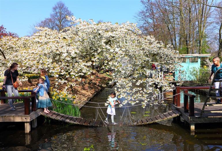 Keukenhof bezoeken