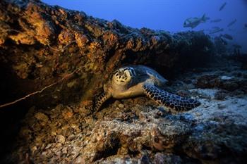 Key Largo