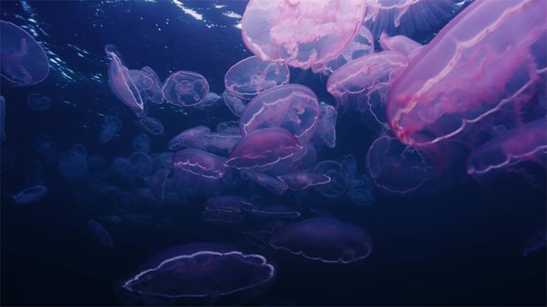 Keys History & Discovery Center