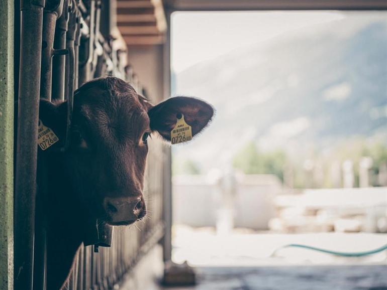 Kinderbauernhof Scharrenhof boeken