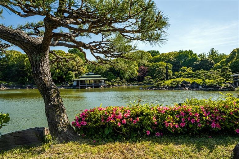 Kiyosumi Garden in Koto