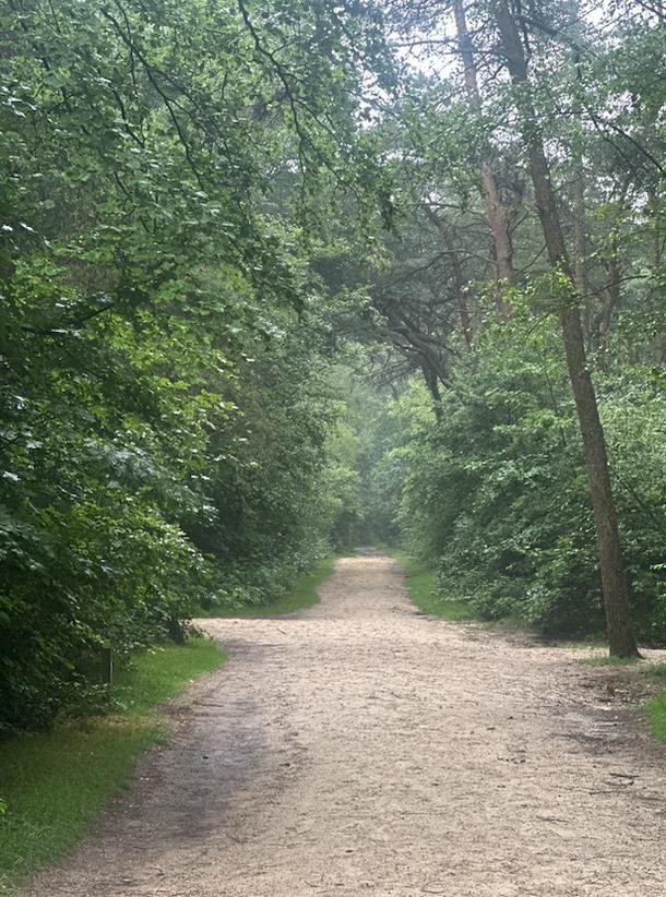 Klimaatroute Zeisterbos, Utrechtse Heuvelrug