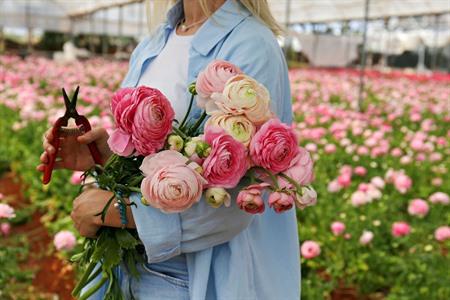Knip je favoriete bloemen en stel zelf je boeket samen