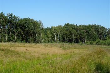 Koersels Kapelleke Beringen