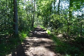 Koersels Kapelleke Beringen