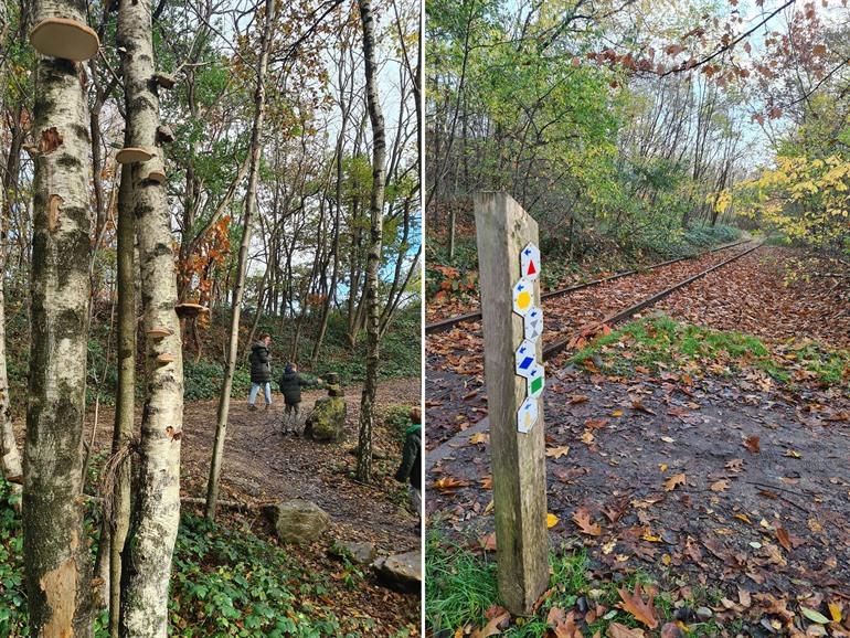 Kom langs verrassende plekjes in het Thorpark