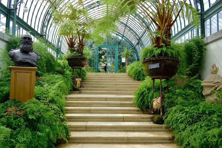 Koninklijke Serres van Laken bezoeken