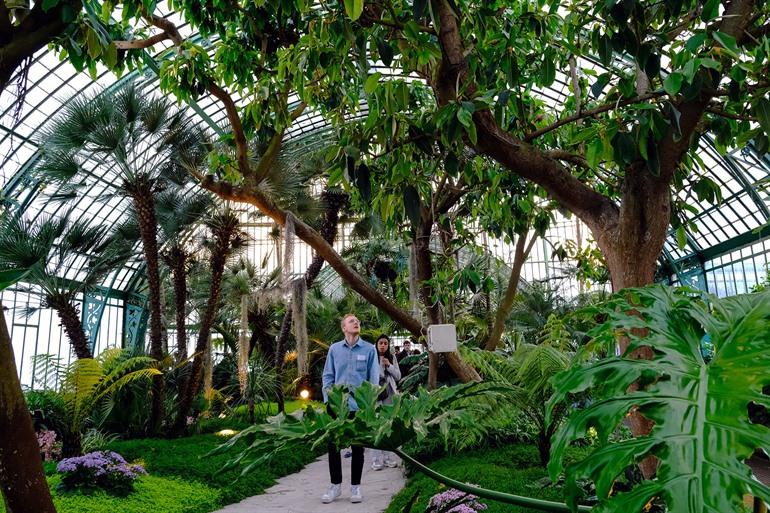 Koninklijke Serres van Laken bezoeken