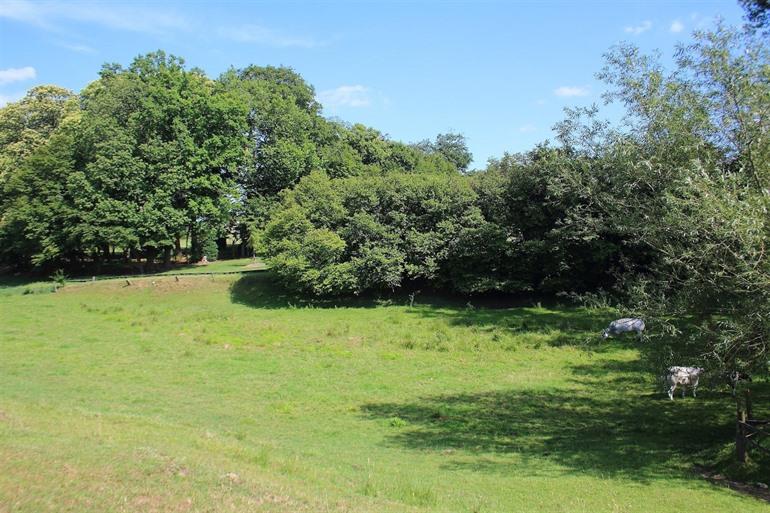 Kordaalbos in Kruishoutem, Vlaamse Ardennen
