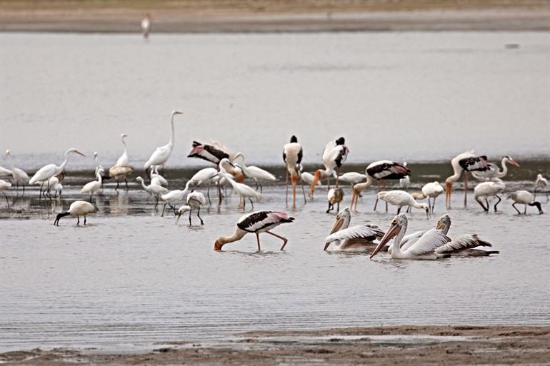 Kumana National Park