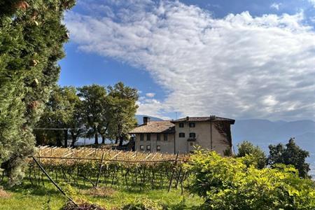 La Locanda di Putipù tussen de wijngaarden boeken