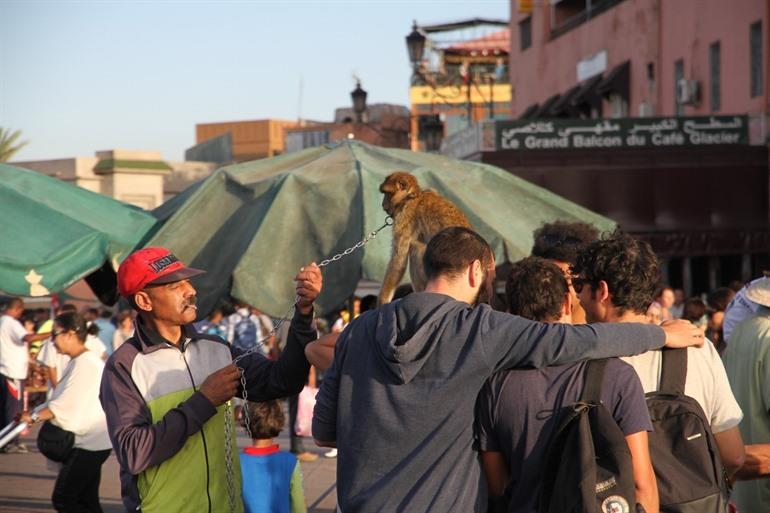 Laat je niet beetnemen bij het maken van foto's