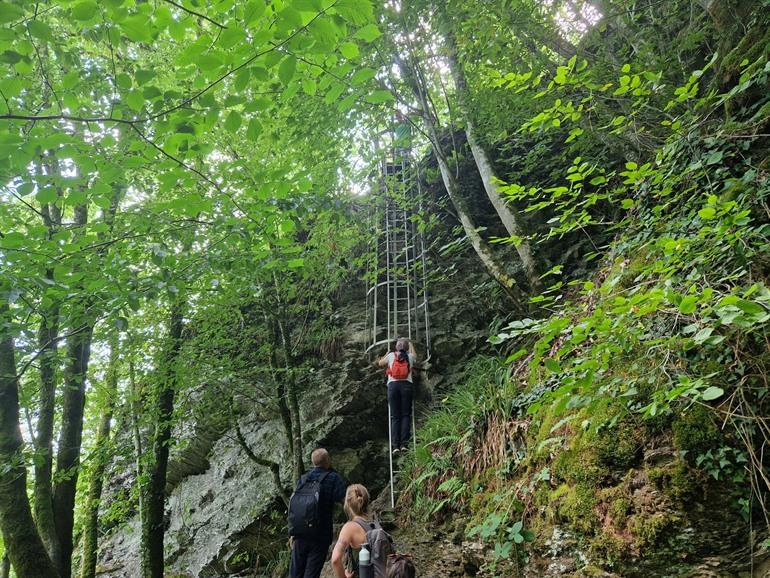 Ladderwandeling in Rochehaut